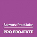Logo Pro Projekte GmbH & Co. KG in Düsseldorf